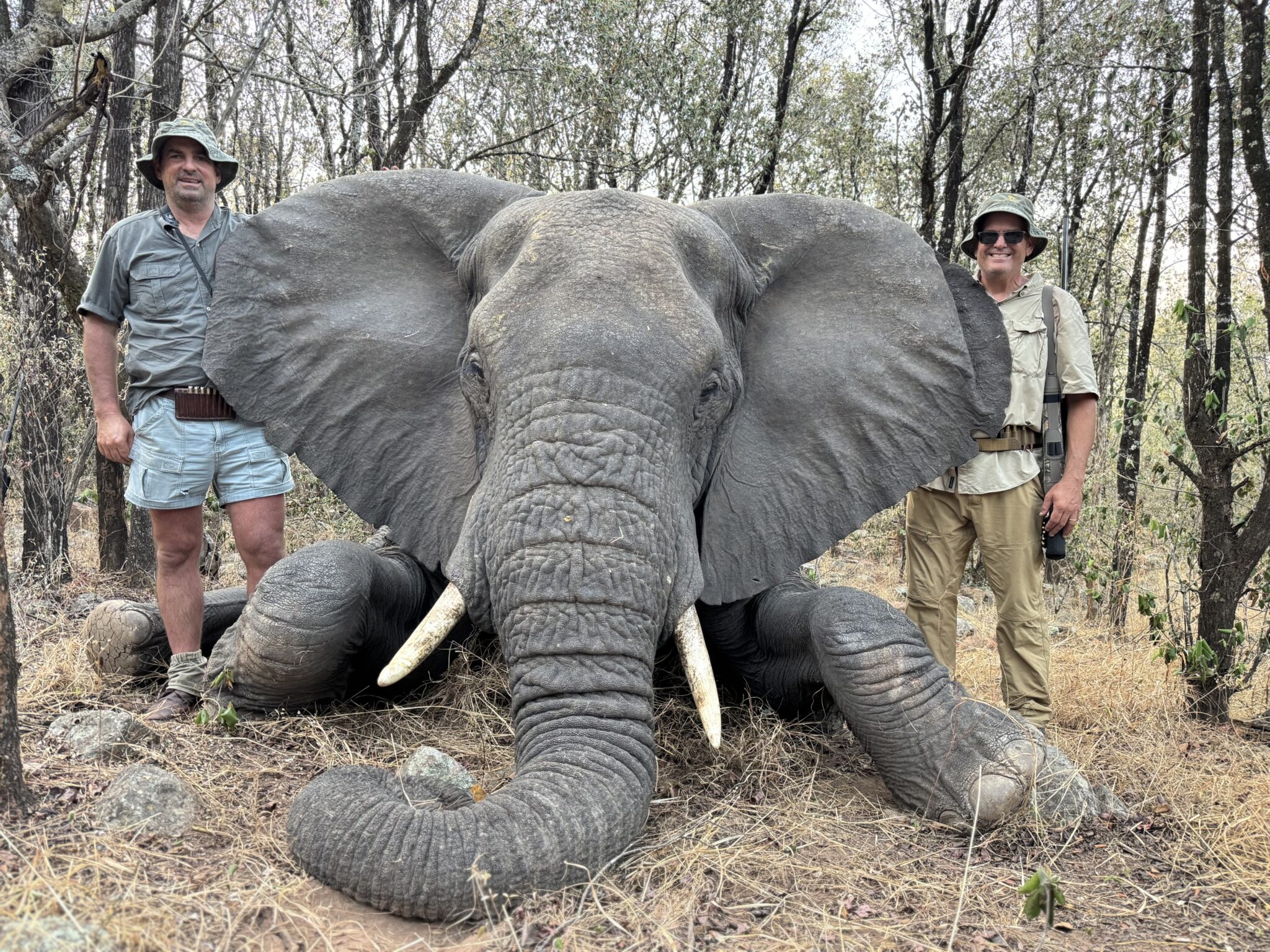 Jumbos Of The Meteki Hills 6