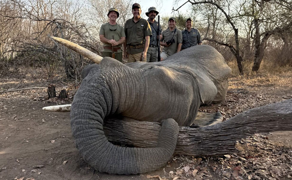 Jumbos of the Meteki Hills | A John X Borderless Expedition