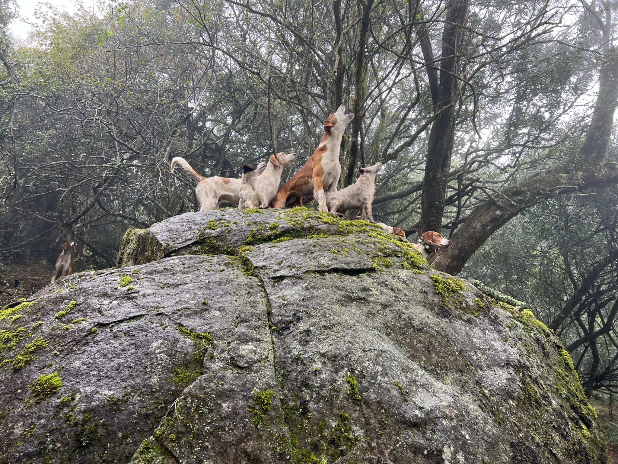 The Patrick Family Hunting with JXSIMG 9221 scaled
