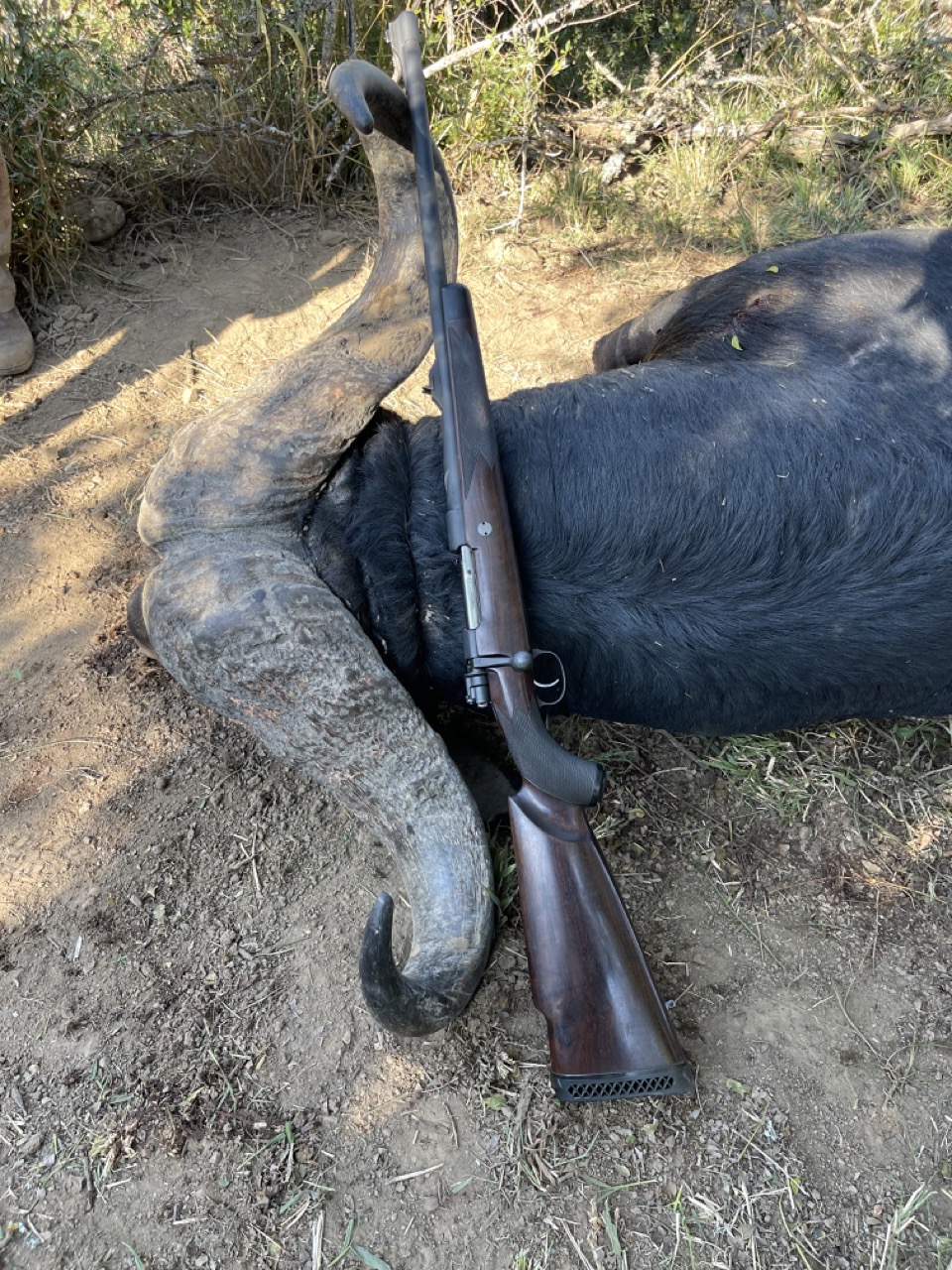 The East Cape Experience with John X Safaris GunwerksIMG 3433 Large