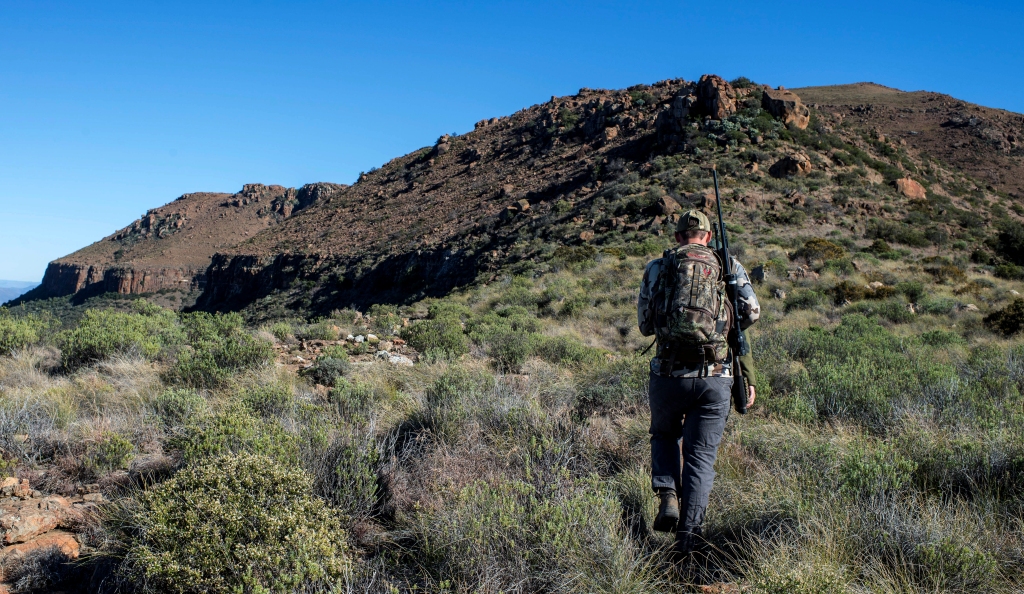 From there we set off on foot in search of Klipspringer - one of the most exciting species to pursue up in the high country. 