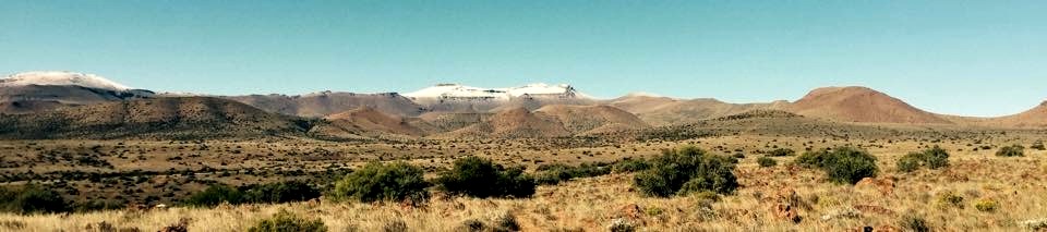 It was only some two weeks later when the snow had melted on the lower ridges, with mountain tops still white, that I finally made it up to where I thought I'd seen the big ram in the storm.