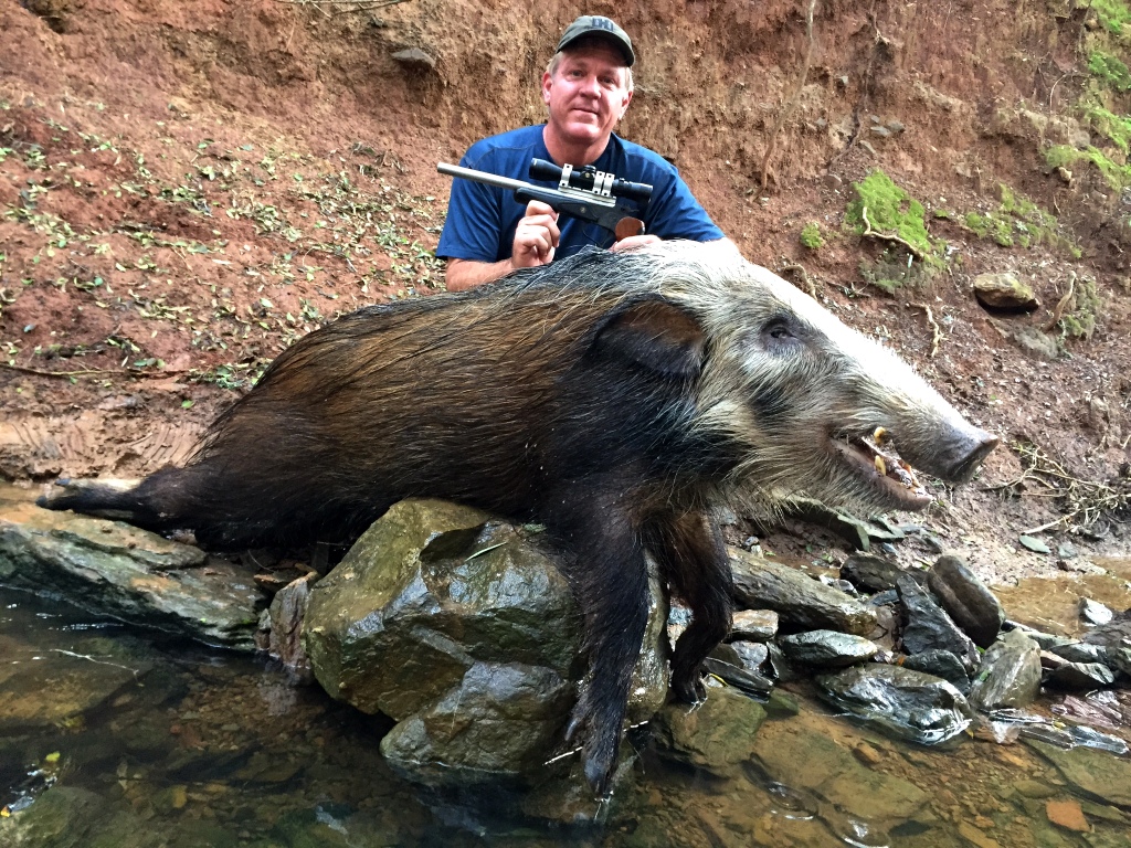 Lawrence's Bushpig proved to be one heck of a challenging hunt. With the pig finally coming to bay in a small stream, a shot had to be made at extremely close quarters. At 5 yards to be exact!