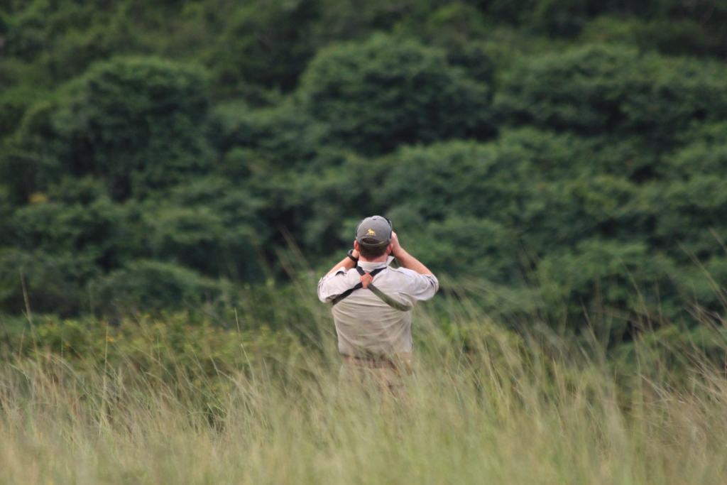 .The search is over... Join us for the safari of a lifetime...