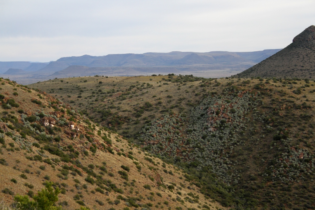 Reaching a predetermined rocky ledge, hoping the Klipspringer were still settled in a relaxed manner, we crawled up to the edge.