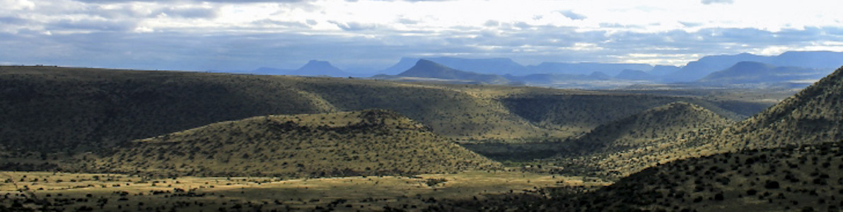 IMG_1541banner sized