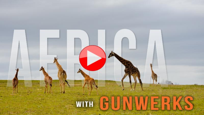 Gunwerks