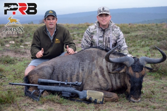 blue-wildebeest-at-john-x-safaris-with-ed-wilson-and-cory-cisco-copy John X Safaris
