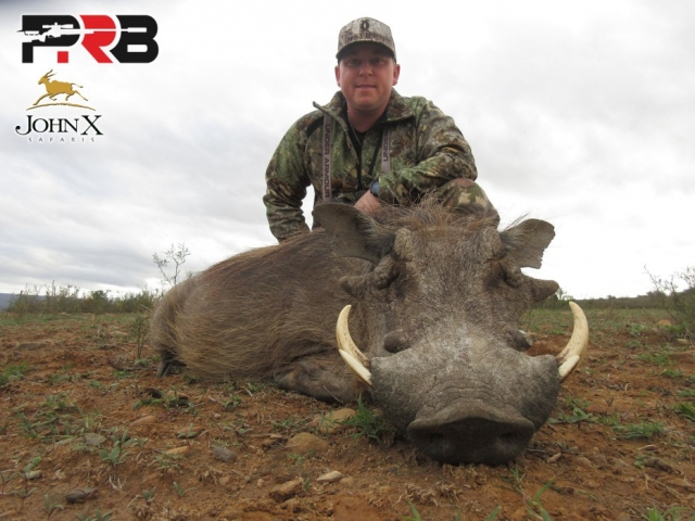 south-africa-warthog-with-john-x-safaris John X Safaris