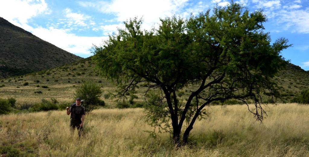 Karoo days...