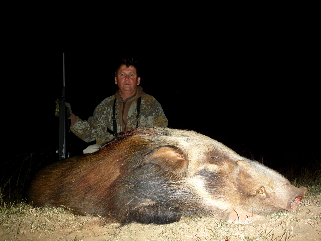 A certain highlight of the hunt was to be Mike's long-awaited Bushpig, never an easy specie to pursue, but one certainly worth the wait!