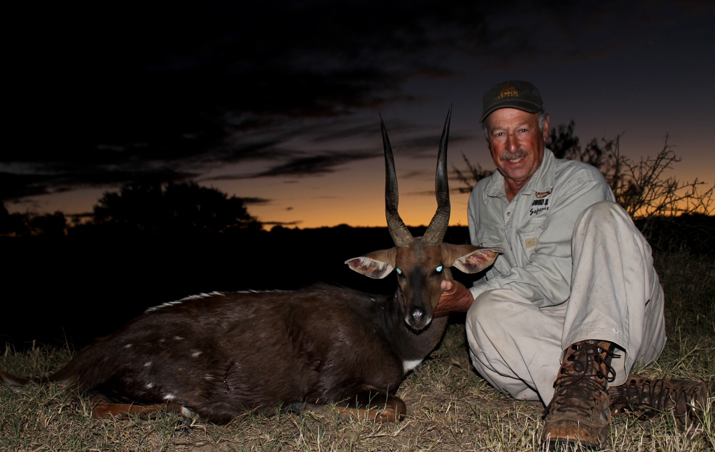 However his Cape Bushbuck turned out to be one of our favourites - a beauty to say the least!