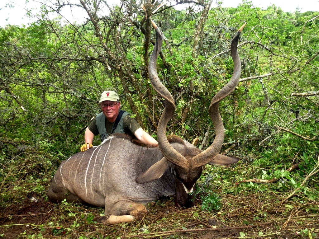 The Kudu that had heads turning - what a beauty!