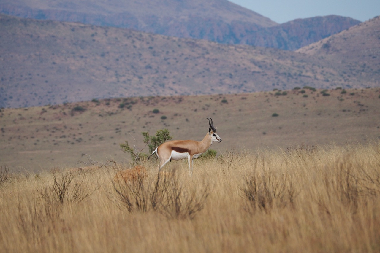 Hunting with JXSP1010158 Large