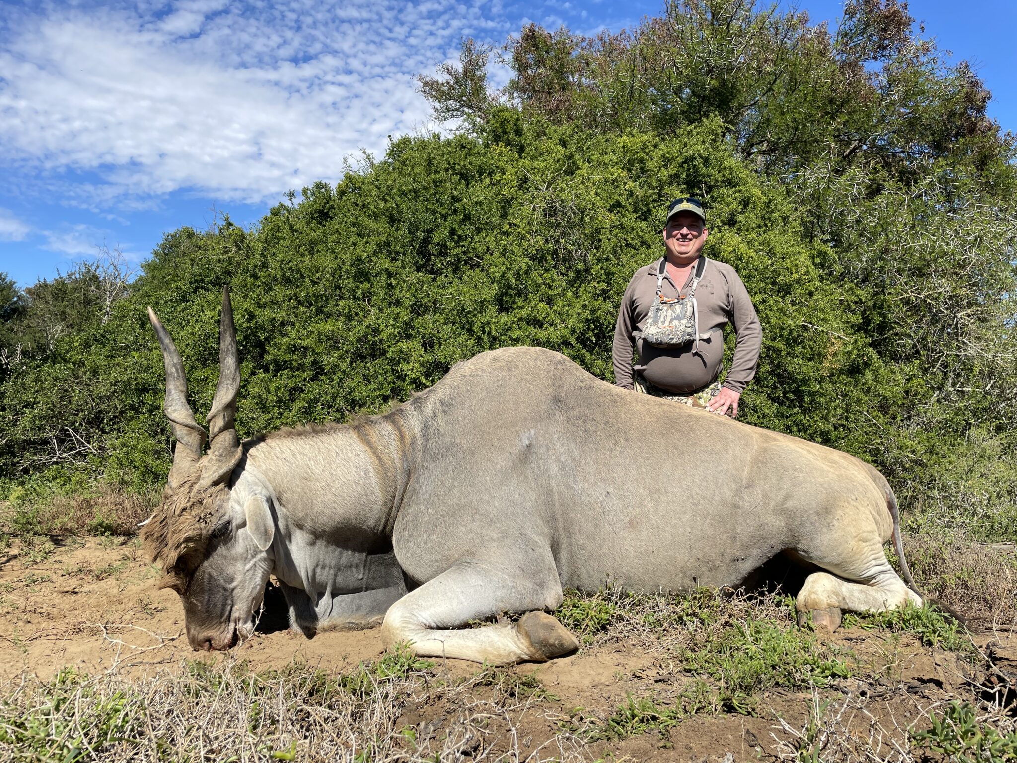 Kevs African DreamIMG 2116 scaled