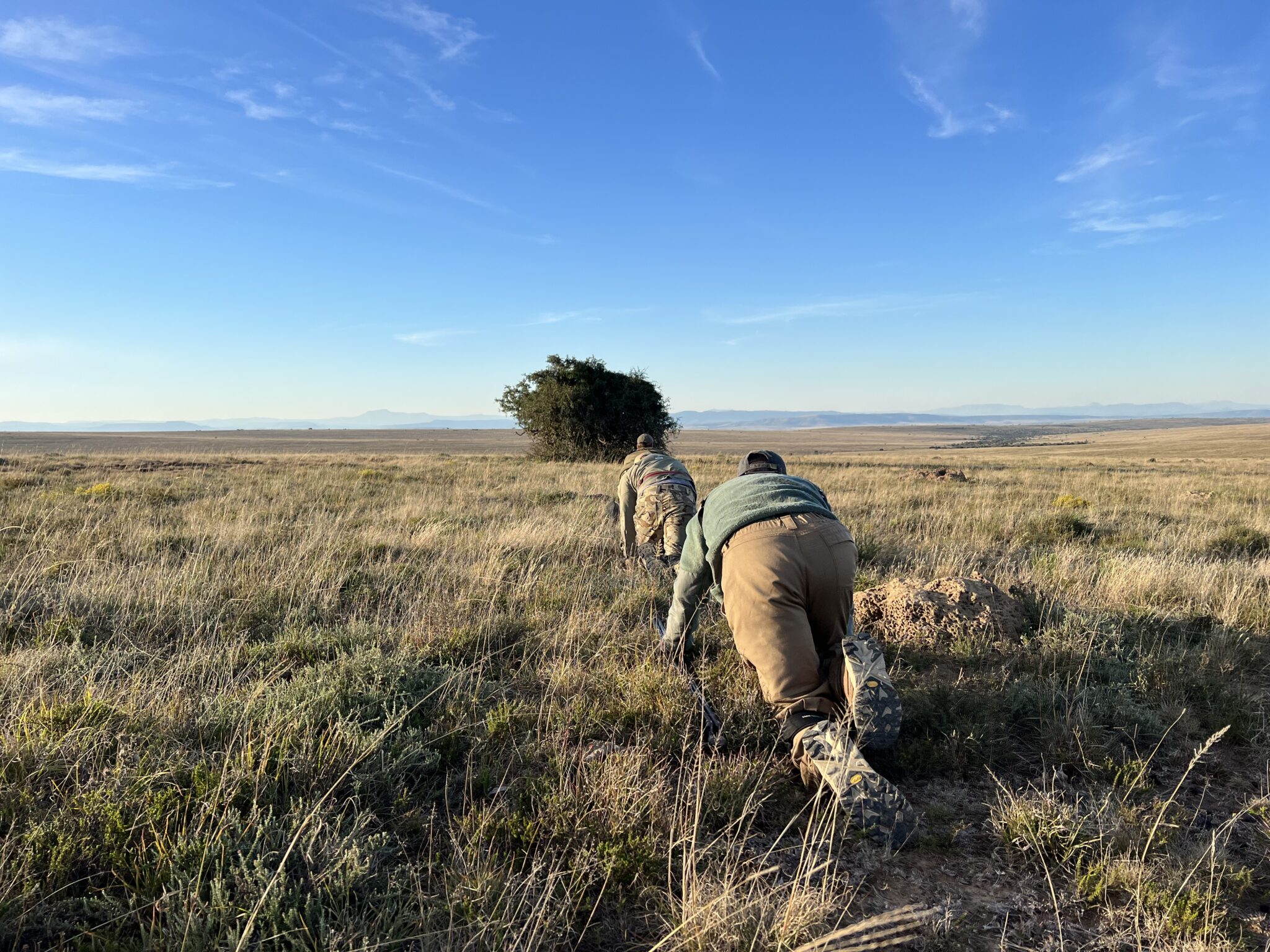 Africa with John X Safaris thge DyesIMG 7238 scaled