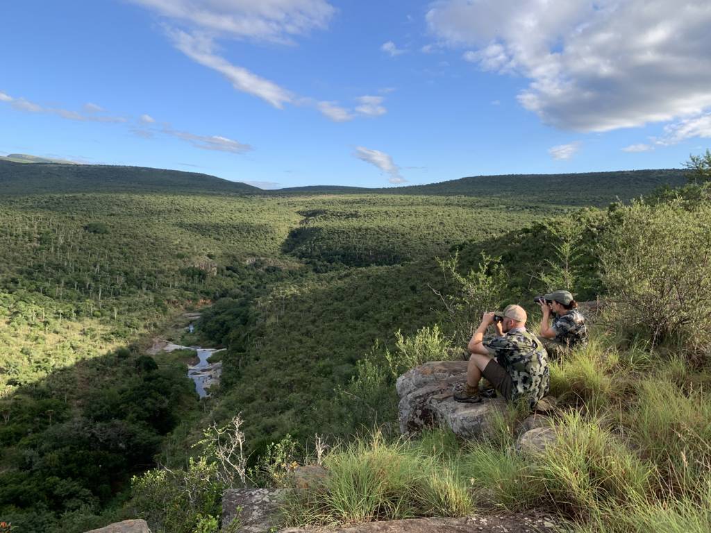 Bow Hunt with JXSIMG 1923