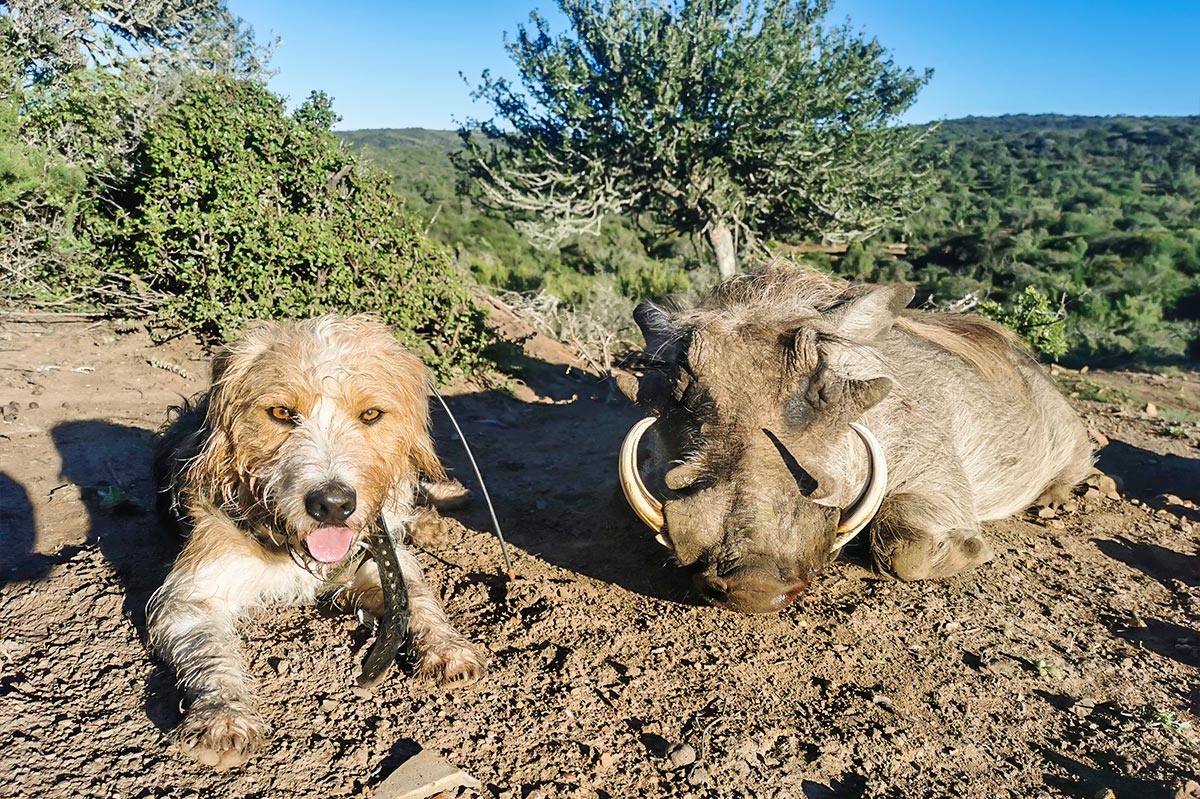 Larence Feuer on safari with John X 10