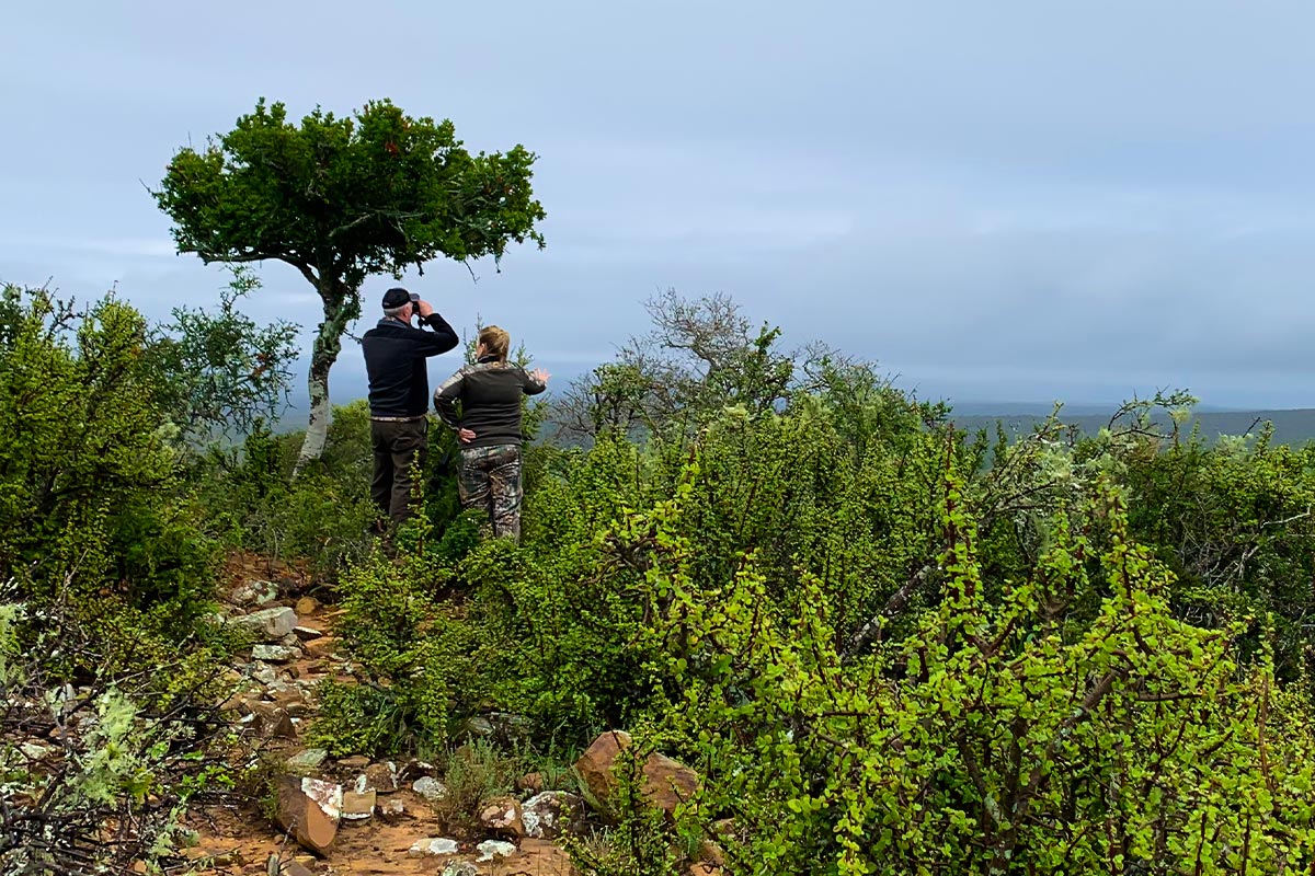 Rindlisbacher on safari with JXS 12