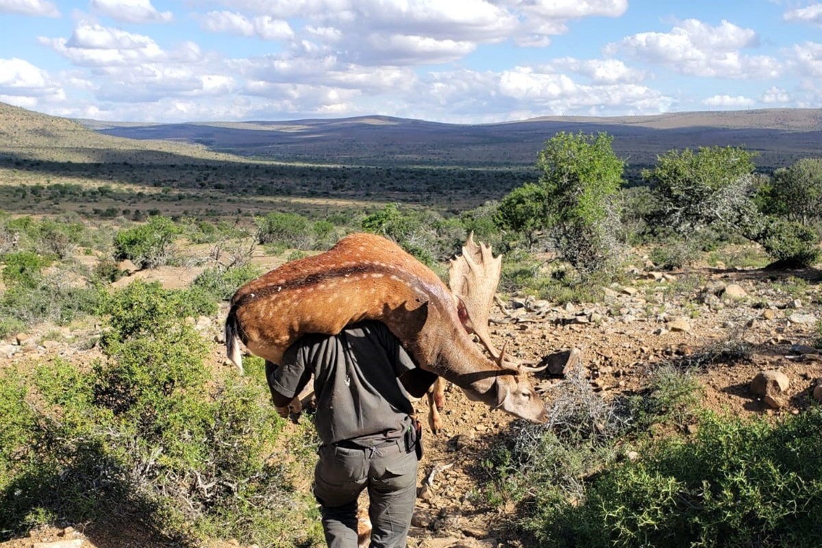 John X Safaris