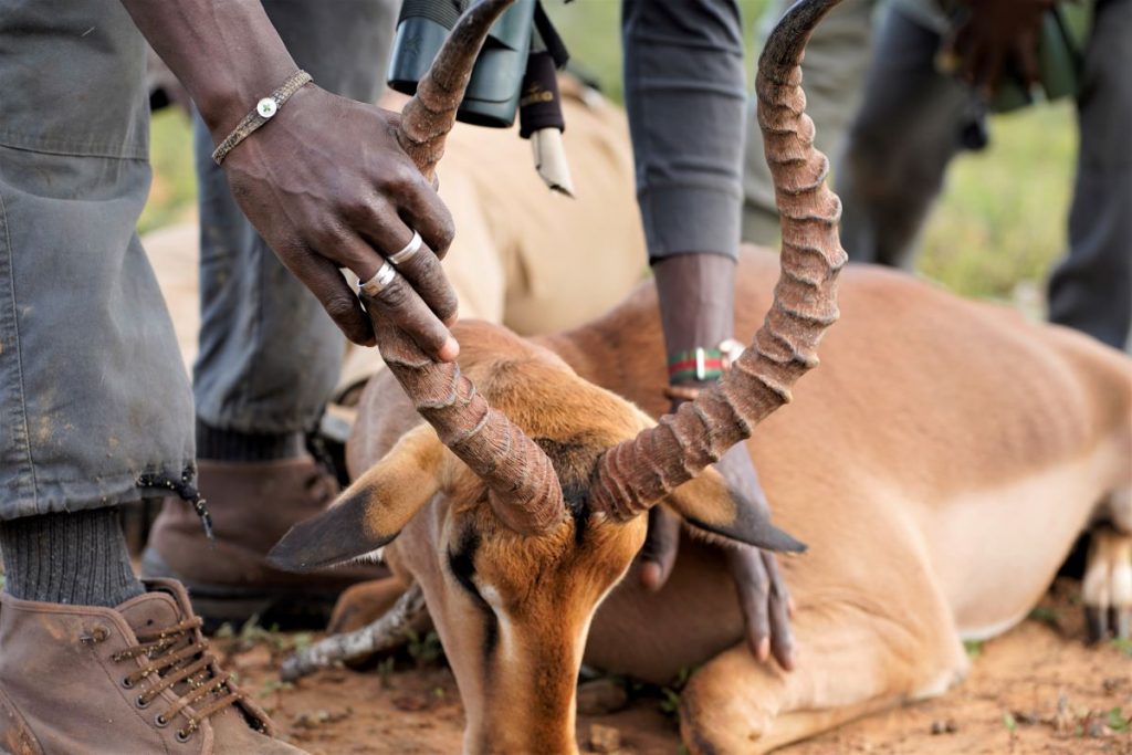 John X Safaris