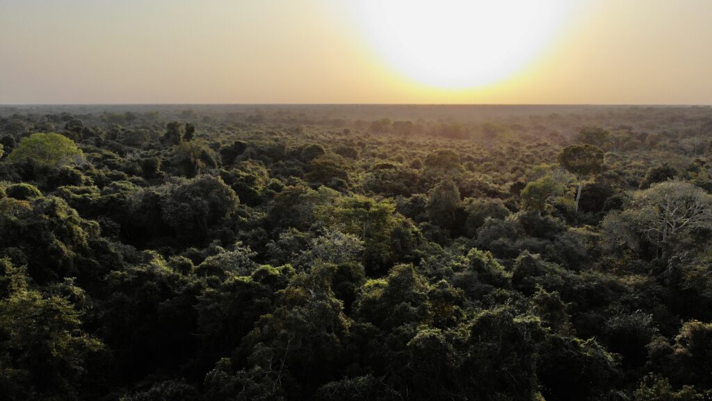 Borderless Expeditions with John X Safaris2022 08 20 164724 3990205 DJI 0801 1024x576