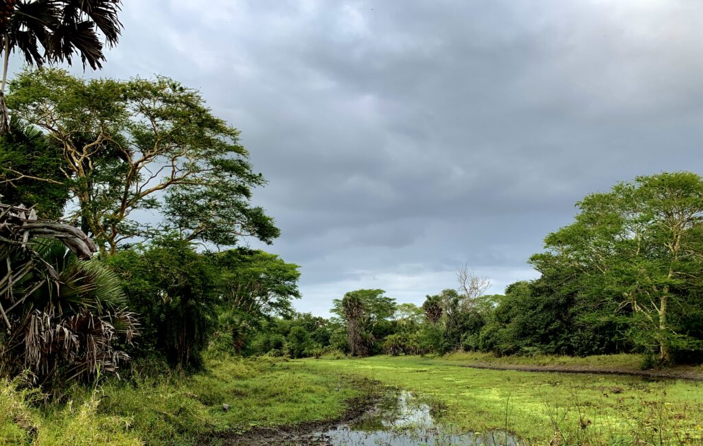 Borderless Expeditions with JXSIMG 0622 1024x650