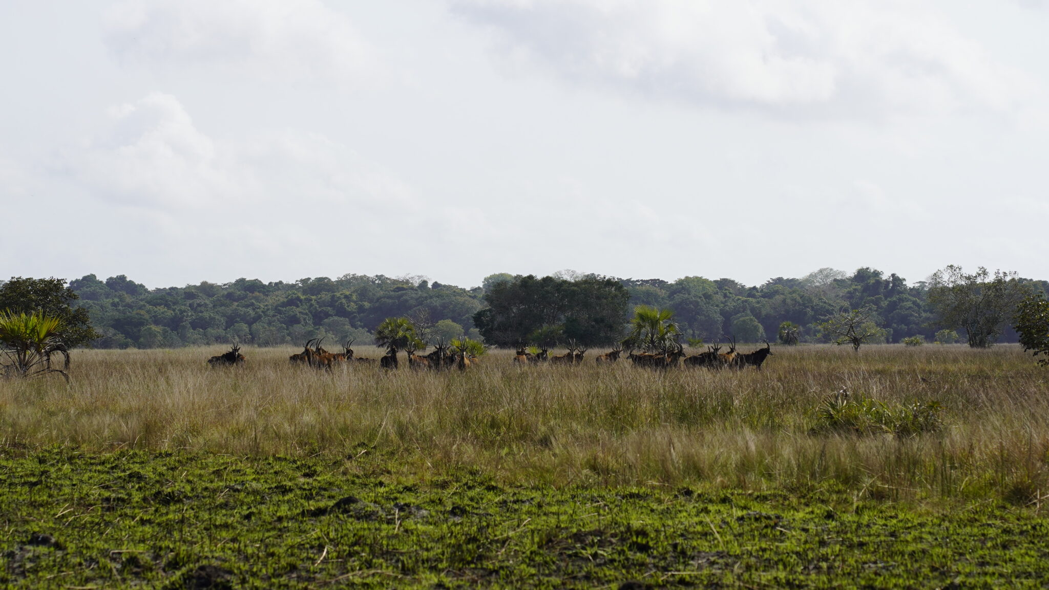 Borderless Expeditions with JXS DSC3420 scaled