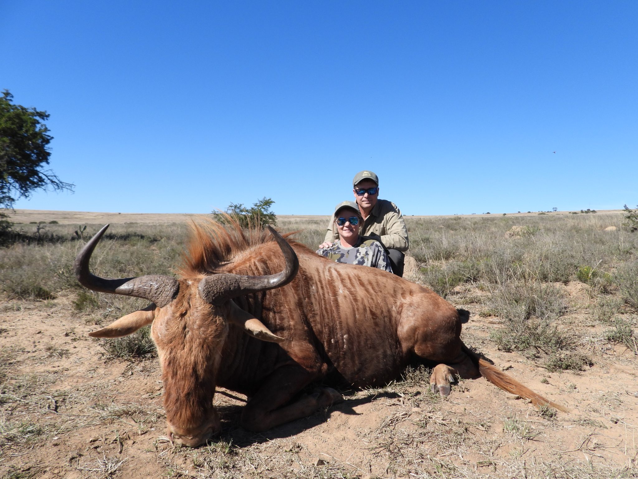 The East Cape Experience with JXSThe East Cape Experience with John X SafarisThe East Cape Experience with John X Safaris GunwerksDSCN0087 scaled