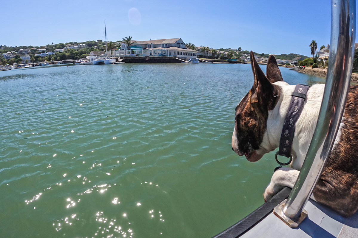 The East Cape Experience with John XGOPR0164E