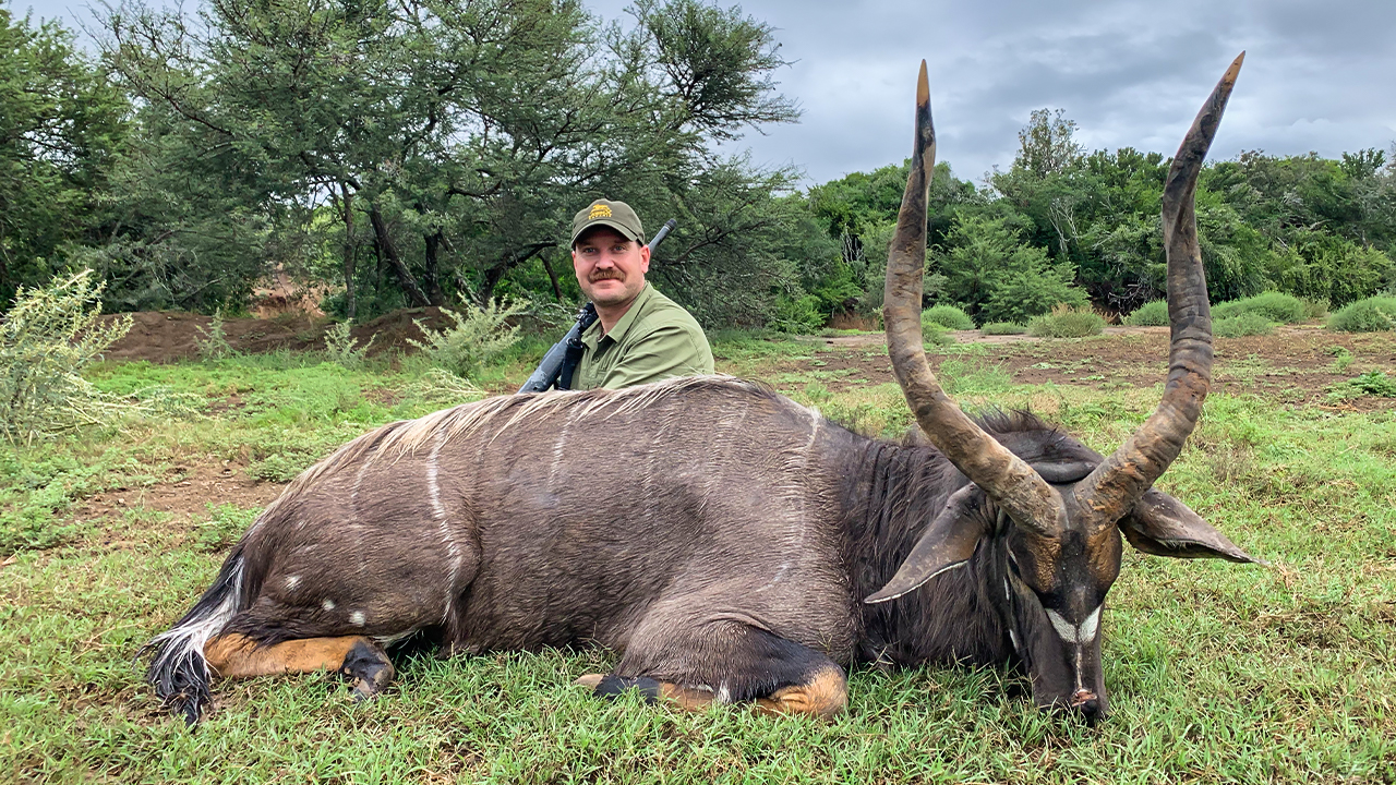 The East Cape Experience with JXSIMG 8031E