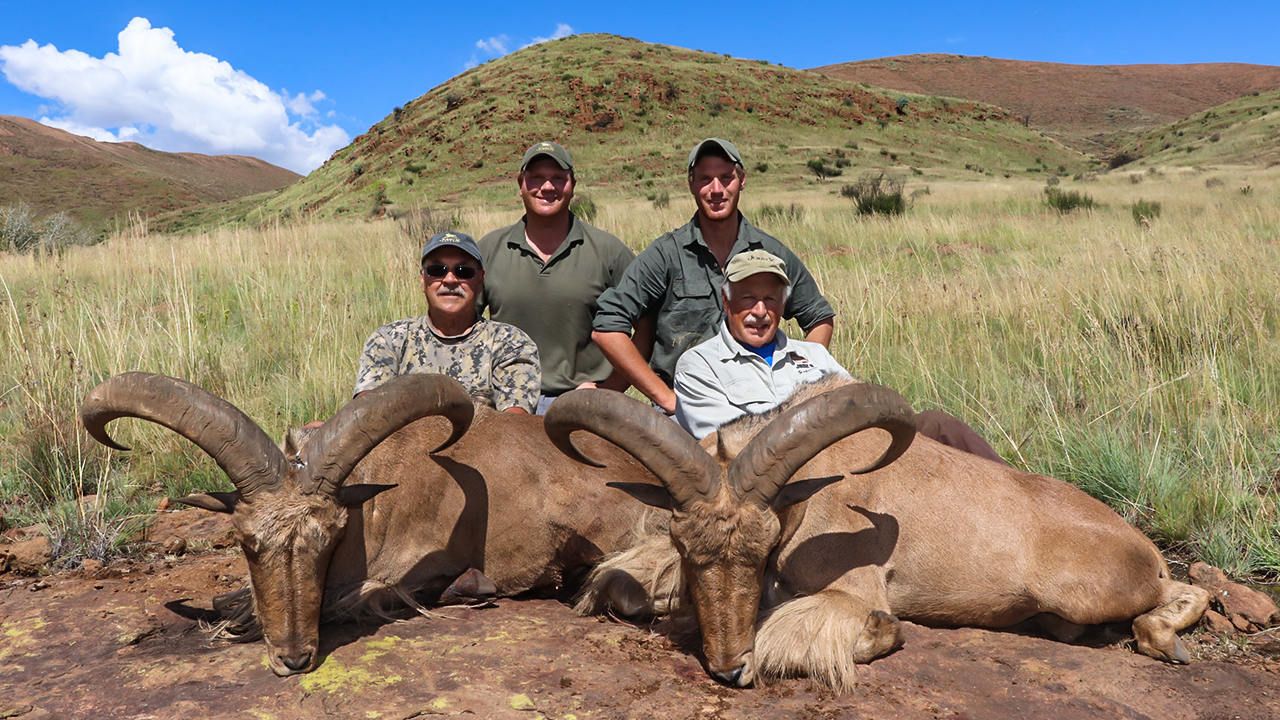 The East Cape Experience with JXSIMG 3768E