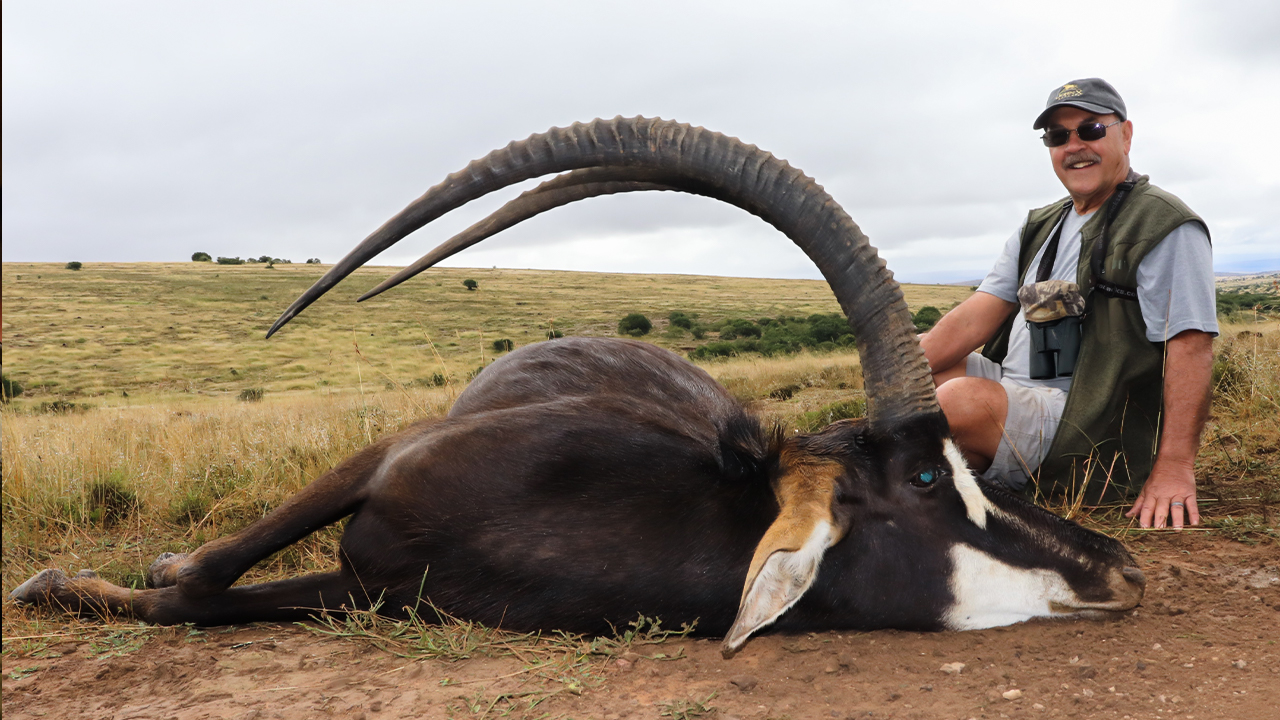 The East Cape Experience with JXSIMG 3538E