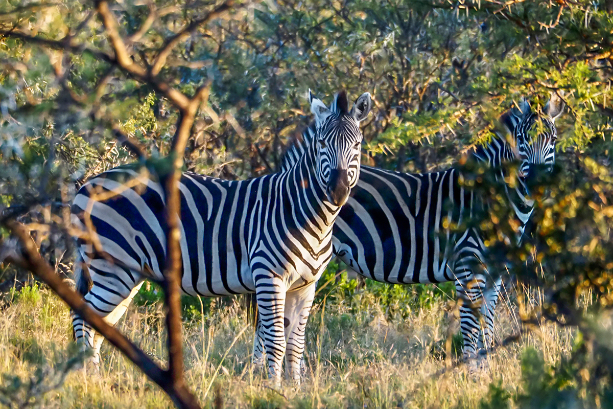The East Cape Experience with John XIMG 1174E