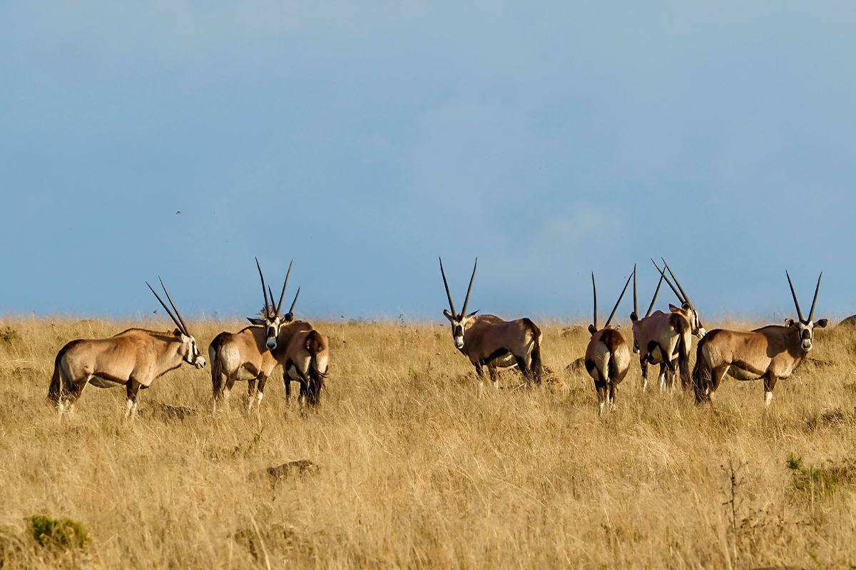 The East Cape Experience with John XIMG 0779E