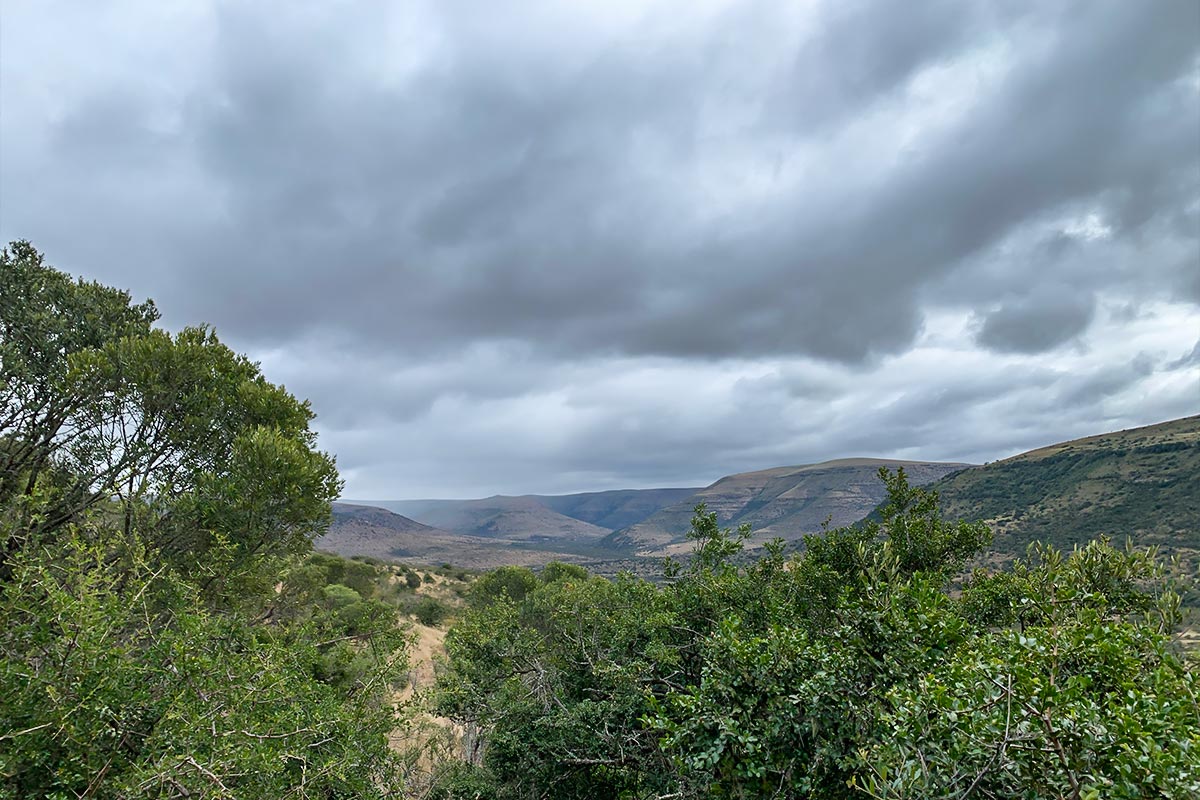 Pro Membership Sweepstakes in Africa with John x SafarisIMG 0771E
