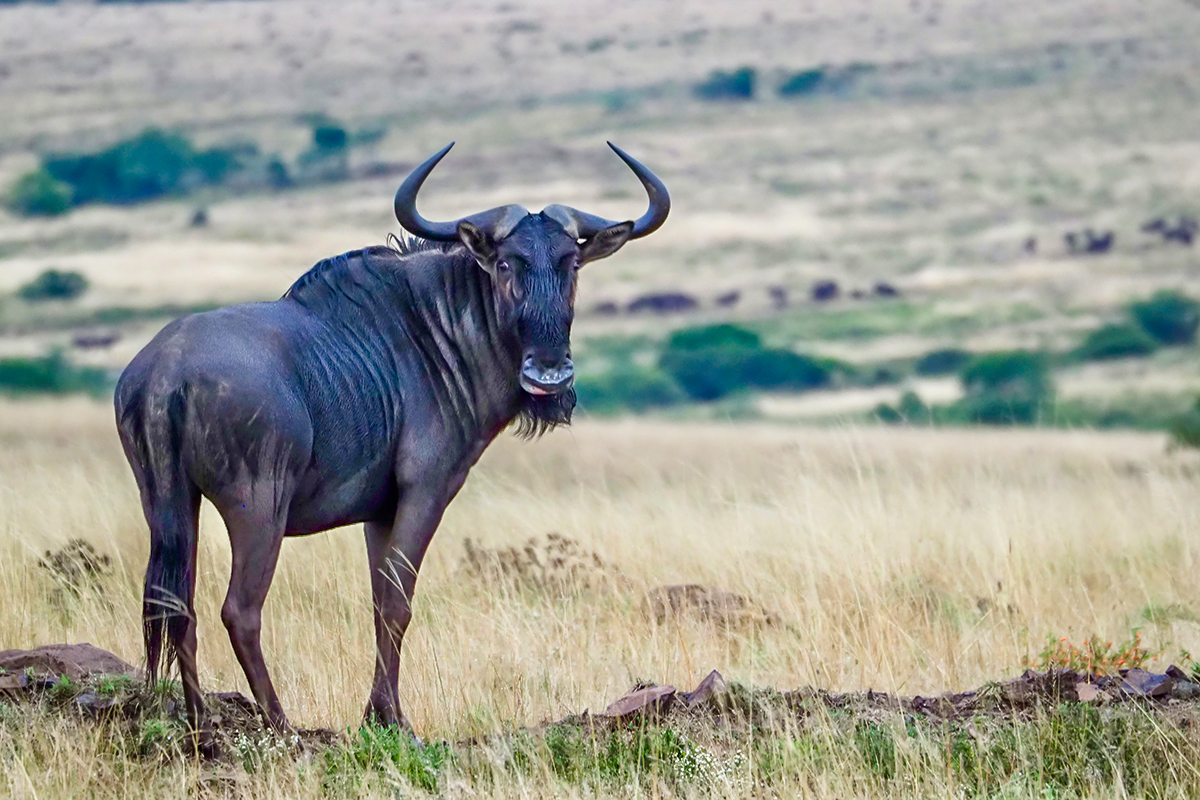 The East Cape Experience with John XIMG 0989E