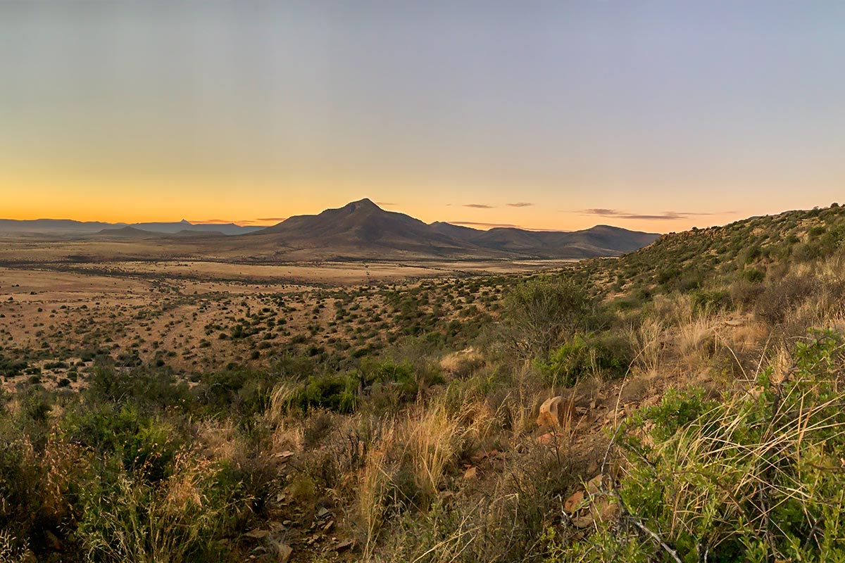 Pro Membership Sweepstakes in Africa with John x SafarisIMG 8191E