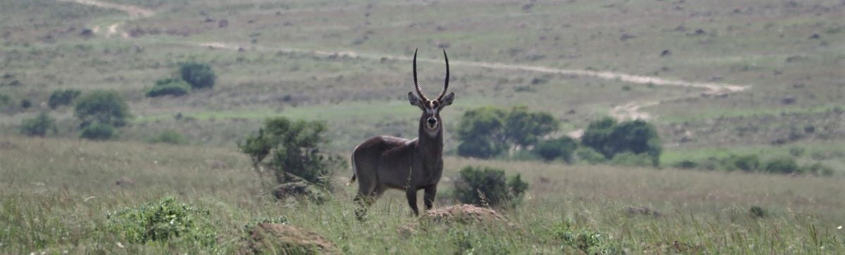The John X Safaris Experience 4