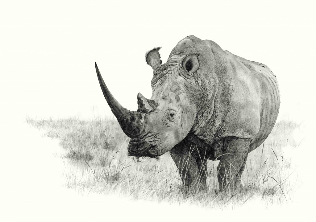 John X Safaris