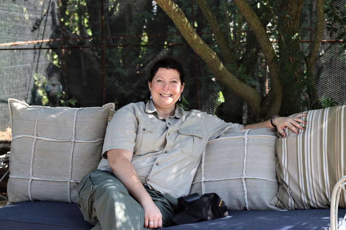 John X Safari