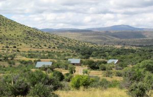 northern concession the great karoo 1 1