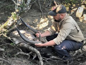 IMG_9562 John X Safaris