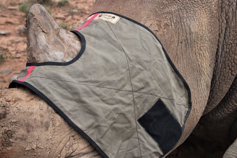 John X Safaris