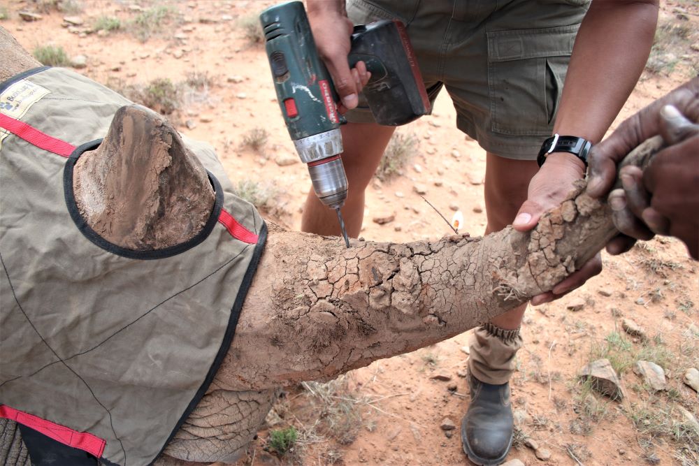 John X Safaris