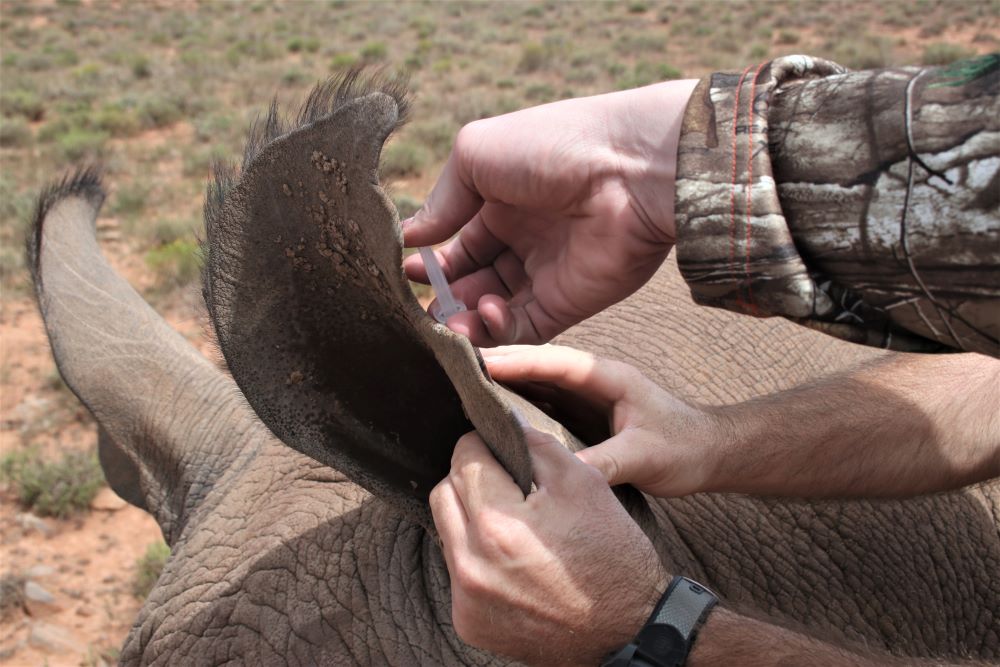 John X Safaris
