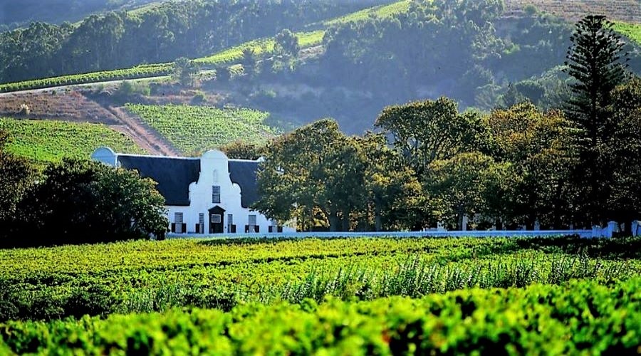 John X Safaris