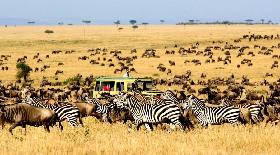 John X Safaris