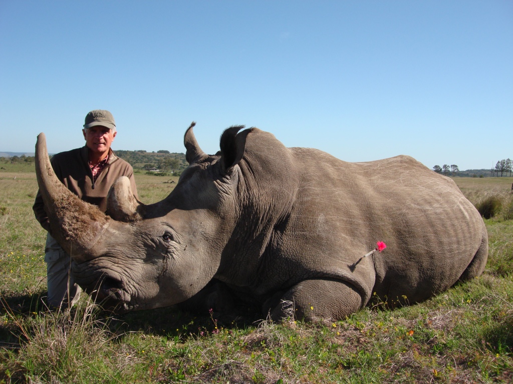 A prod Max with his darted White Rhino. 