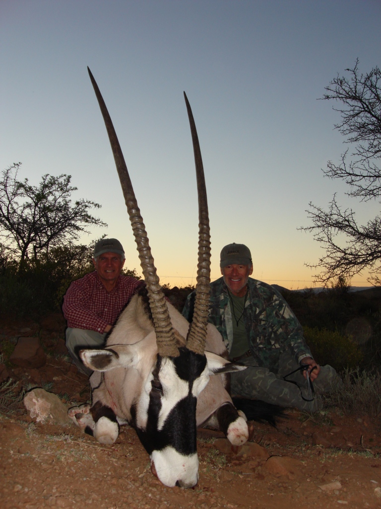 A magnificent Gemsbuck Bull.